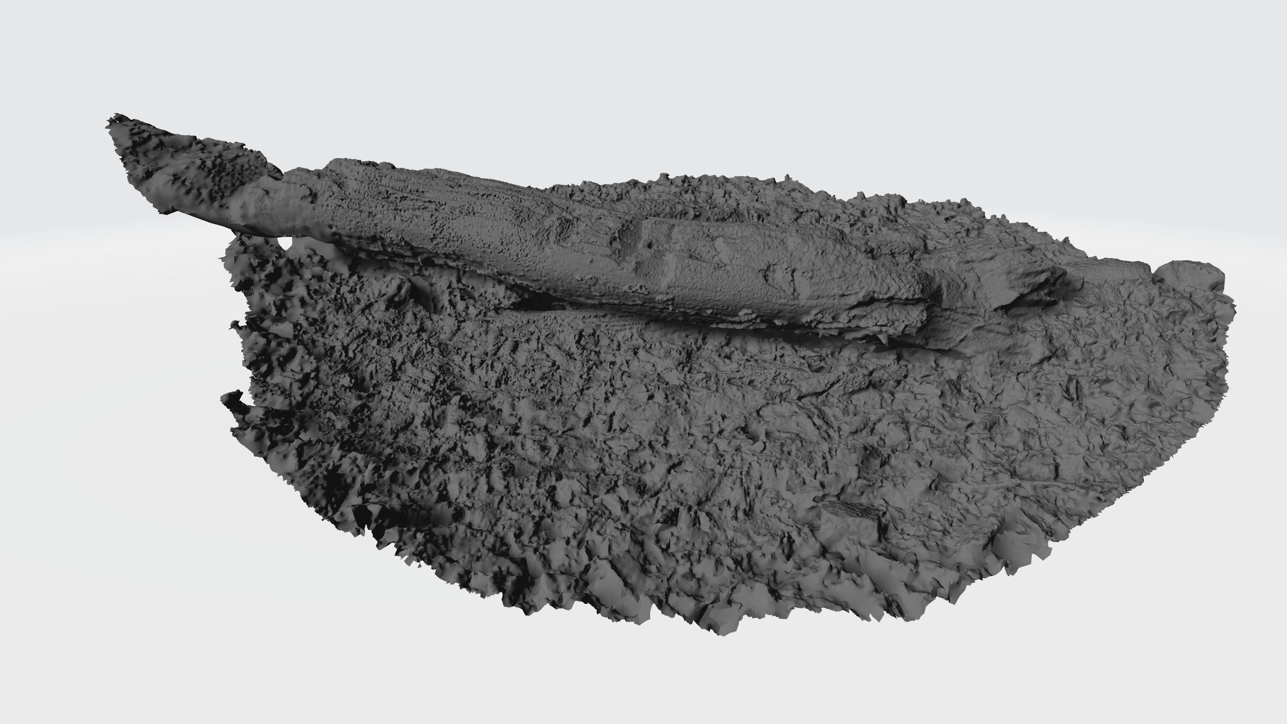 Rotten Tree - Deadwood 4 3D model_7