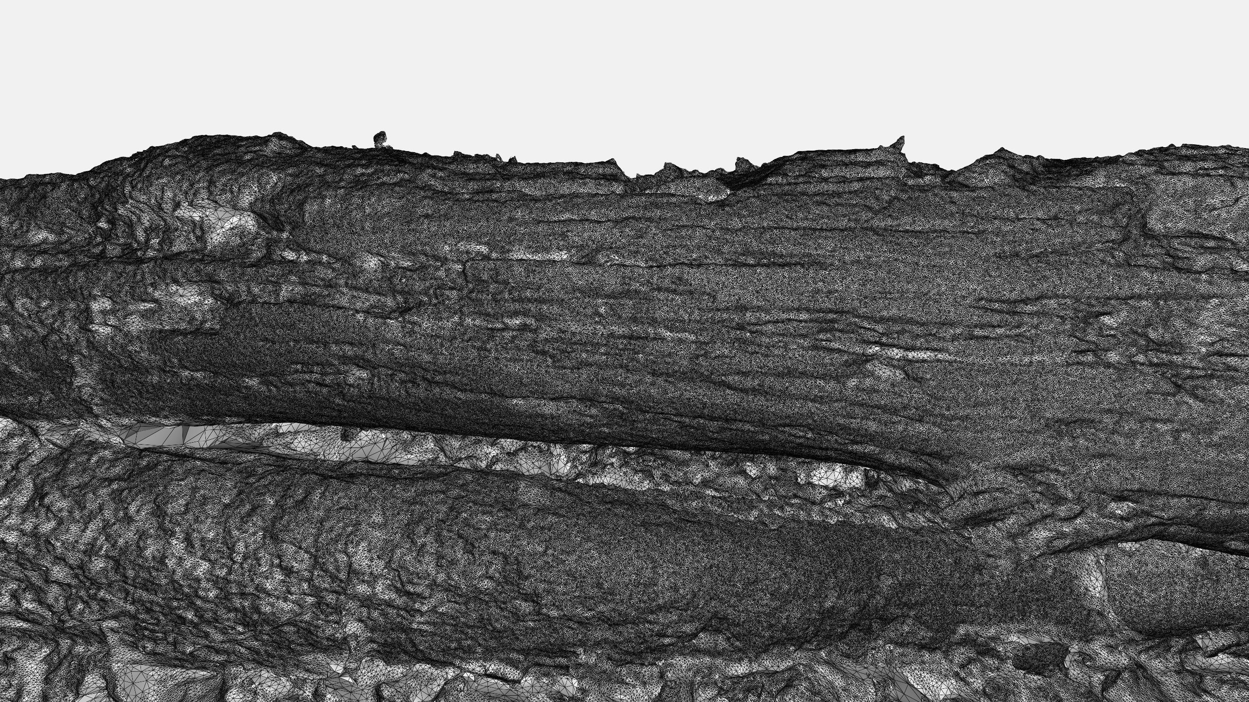 Rotten Tree - Deadwood 4 3D model_5