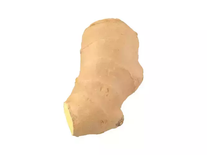 Photorealistic Ginger 3D Scan 2