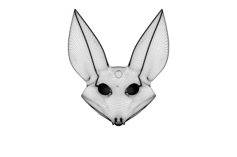 Galaxy Fox 3D model_5