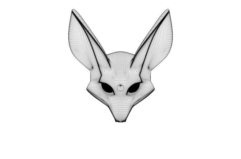 Galaxy Fox 3D model_6