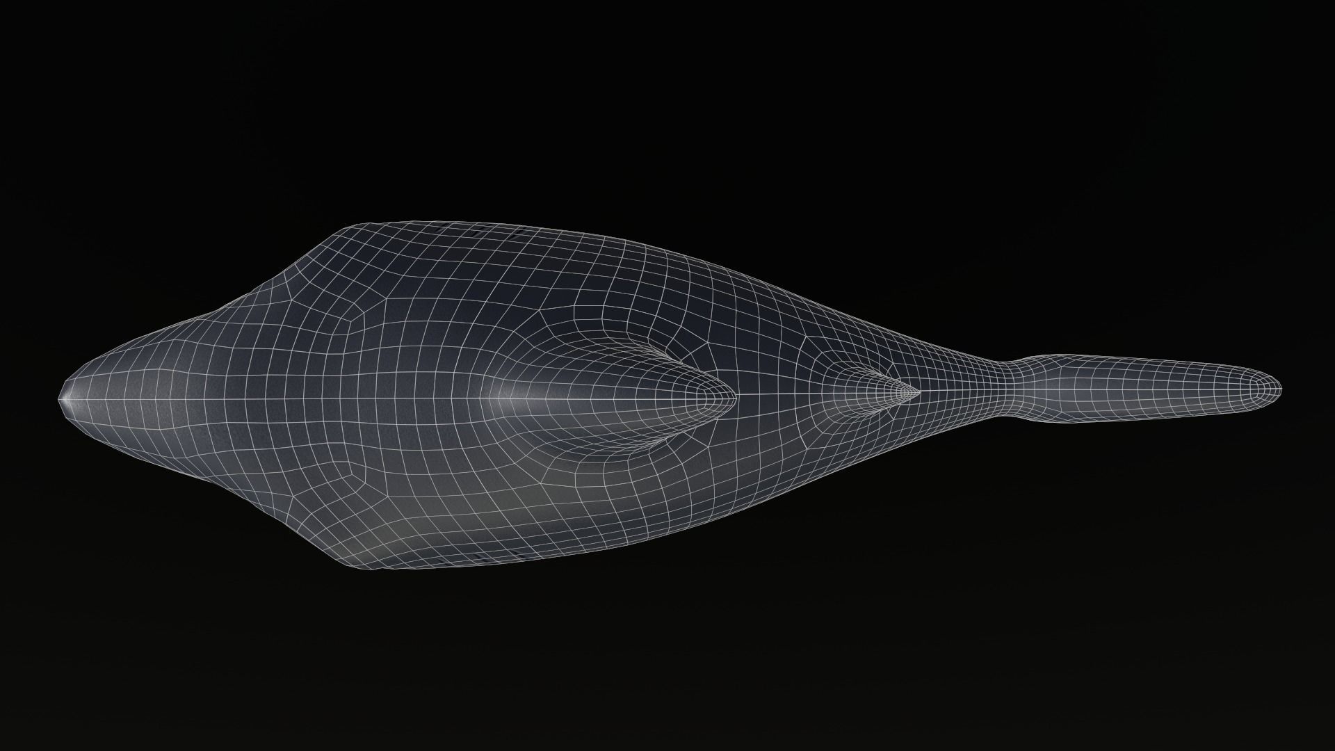 Asset - Cartoons - Animal - Shark Low-poly 3D model_11