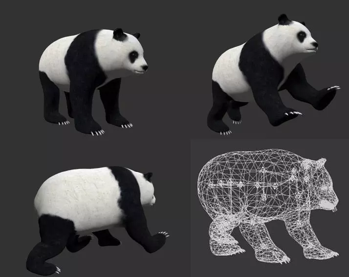 3DMAX FBX model-panda with animation 3D model_0