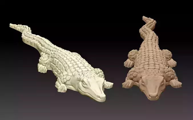 crocodile two crocodiles