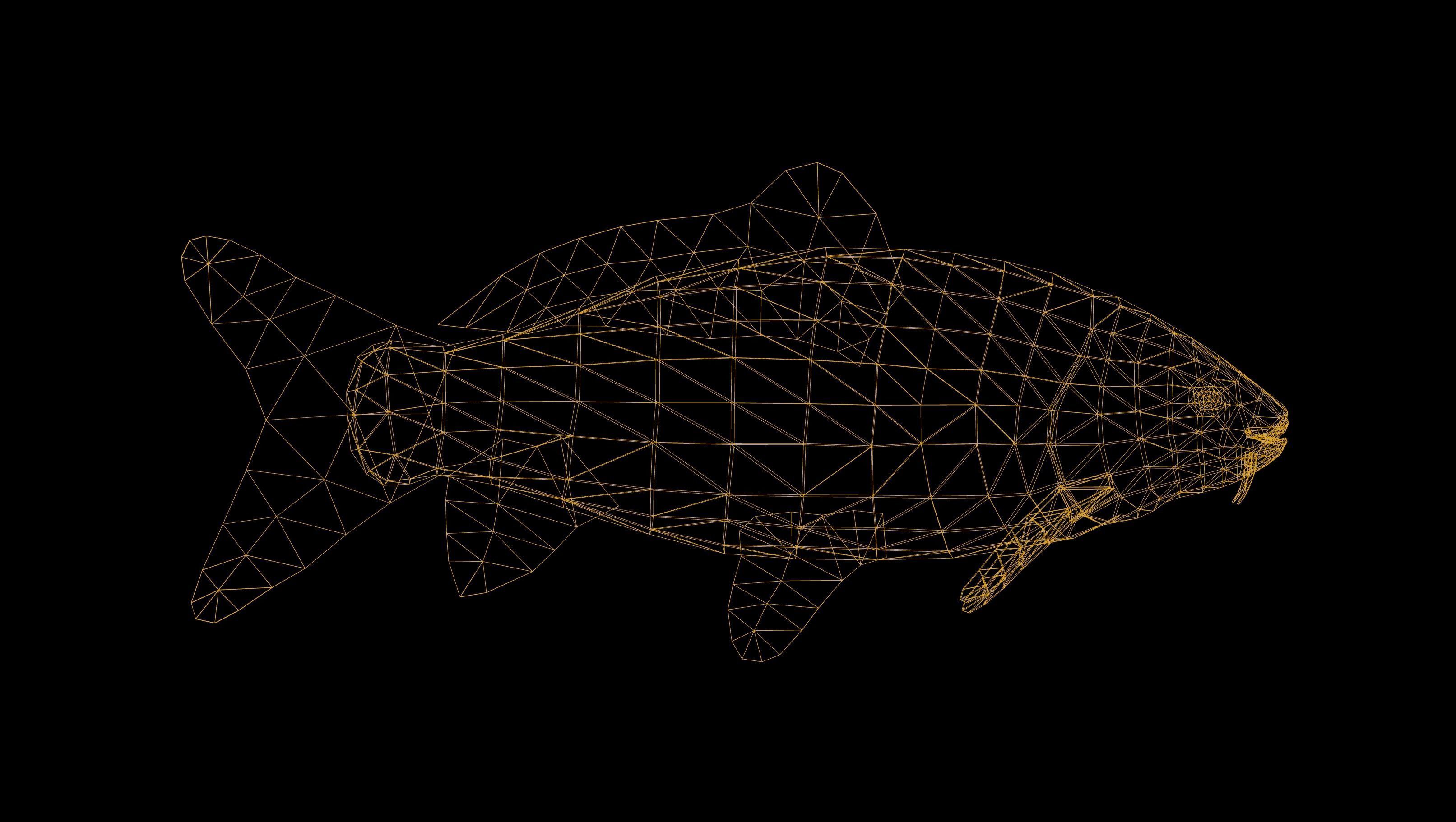 Carp with Swimming Animation Low-poly 3D model_4