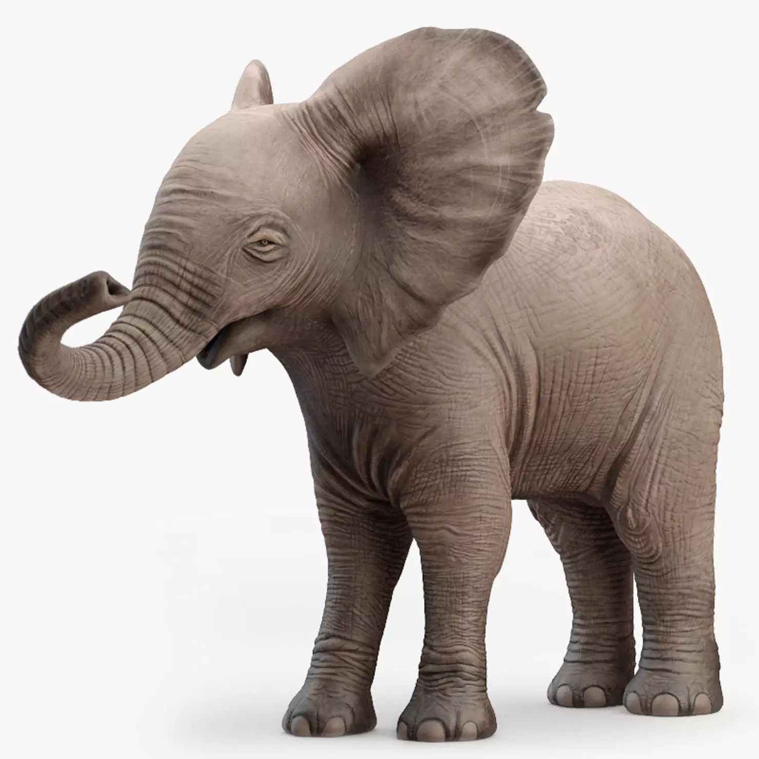 Elephant Baby Rigged 8K Low-poly 3D model_0