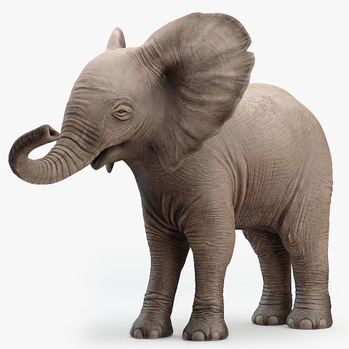 Elephant Baby Rigged 8K Low-poly 3D model