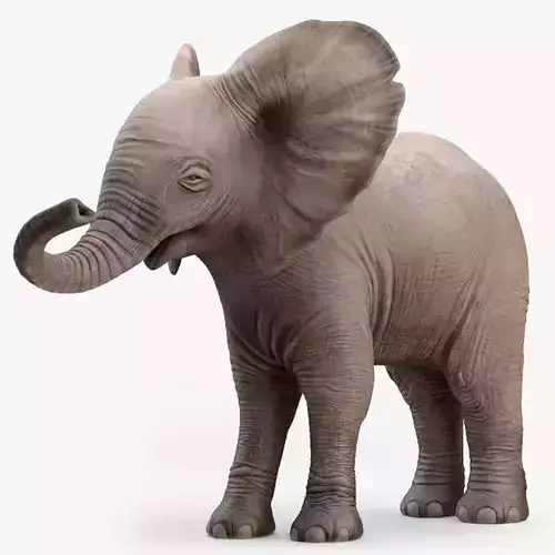 Elephant Baby Rigged 8K Low-poly 3D model