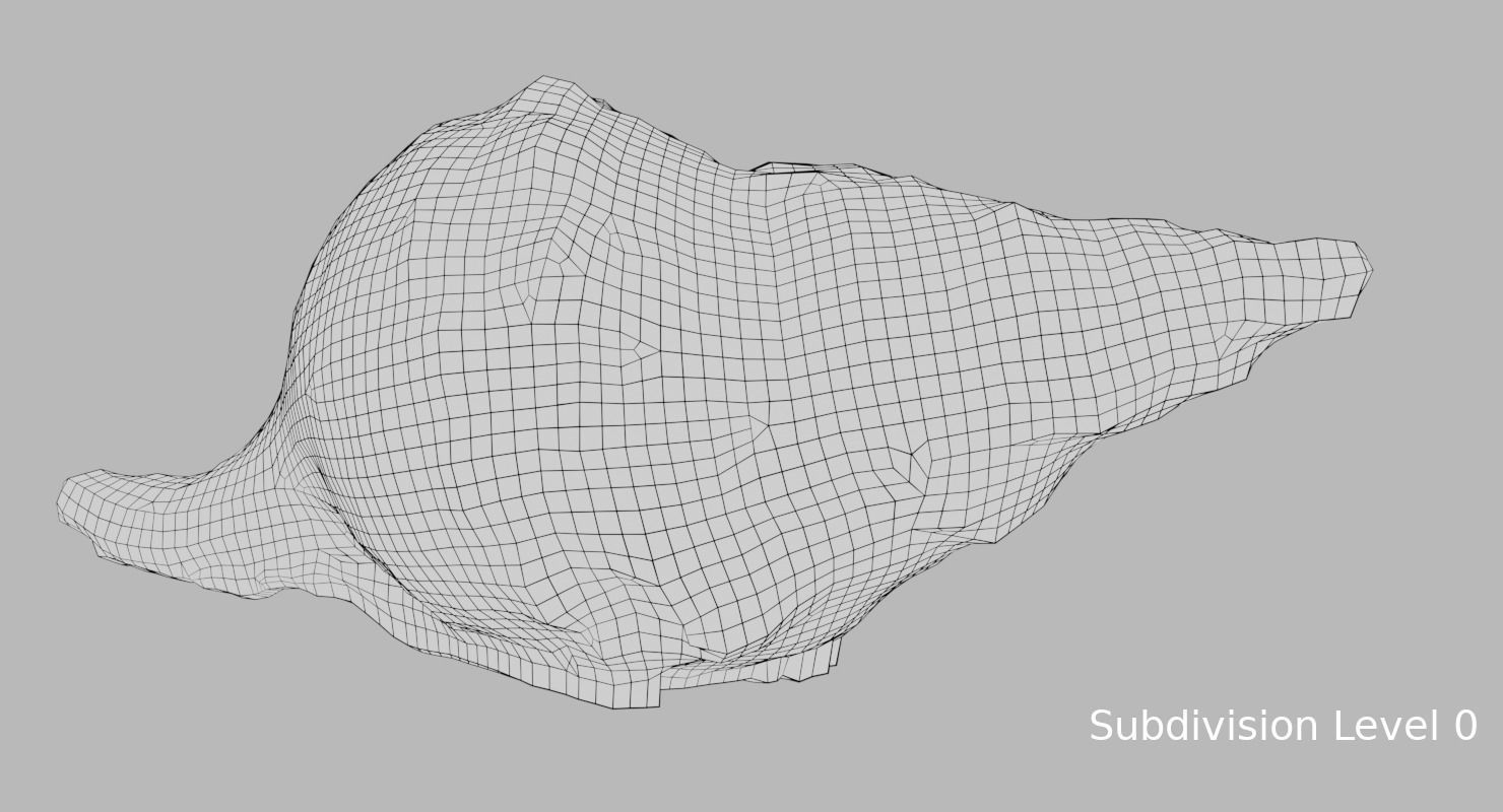 Seashell 2 sea shell 3D model_4