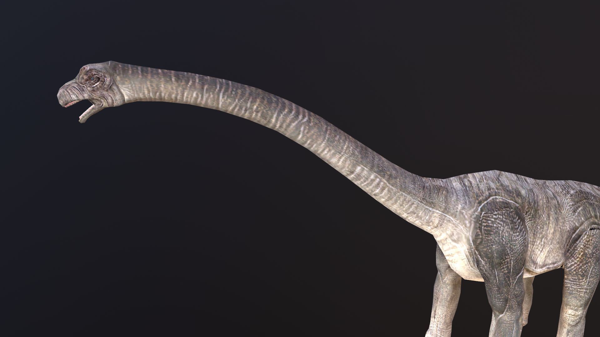 Brachiosaurus dinosaur Low-poly 3D model_2
