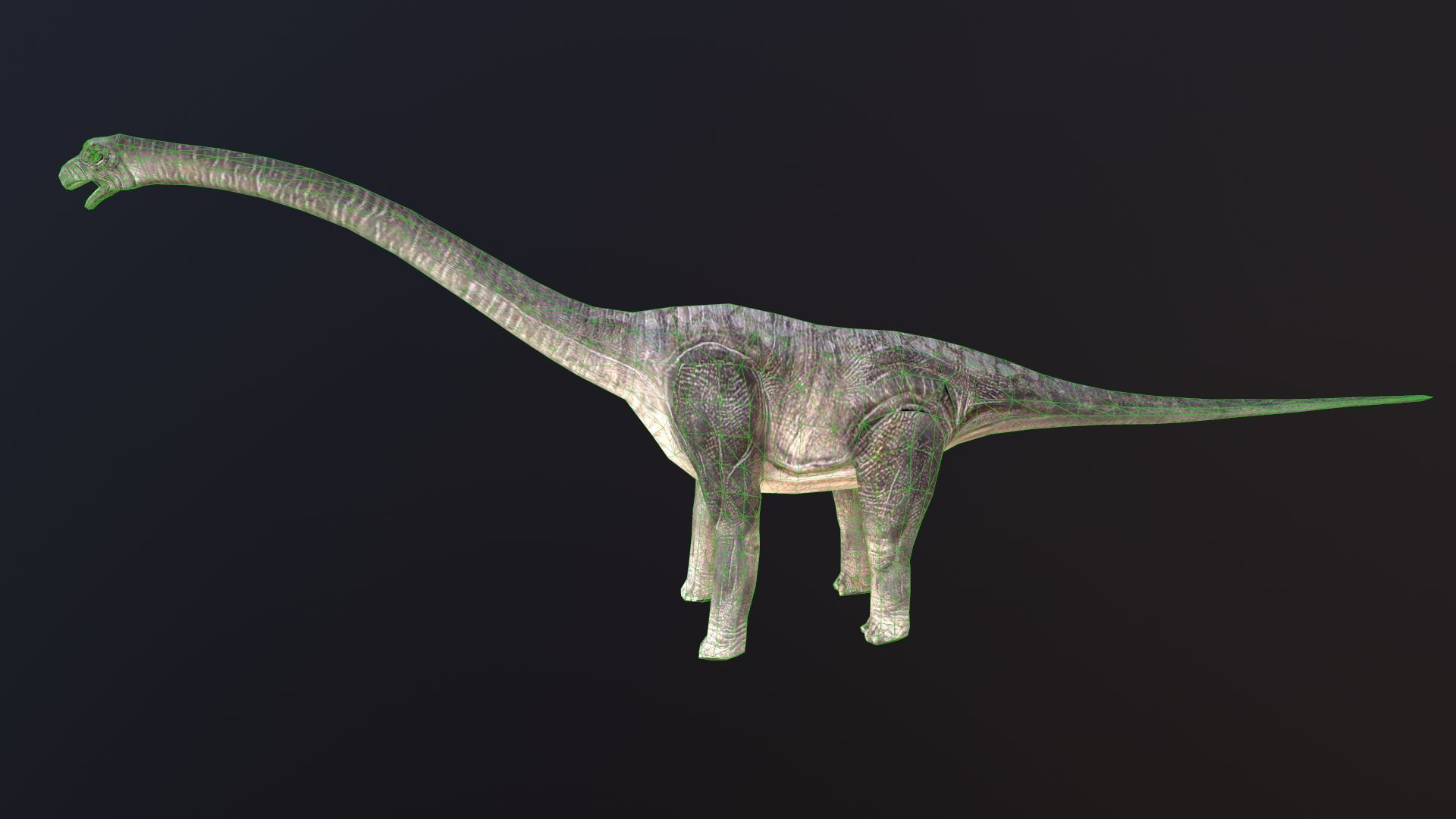 Brachiosaurus dinosaur Low-poly 3D model_5
