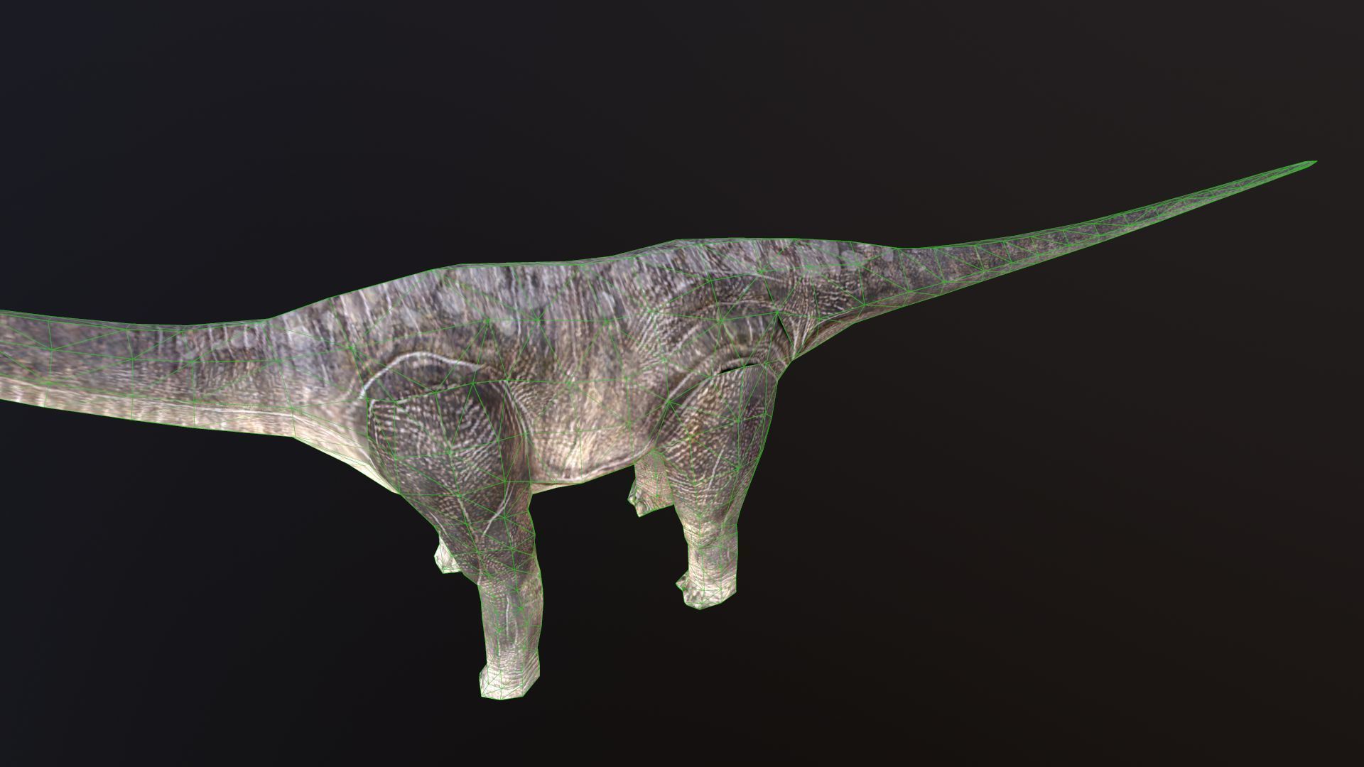 Brachiosaurus dinosaur Low-poly 3D model_7