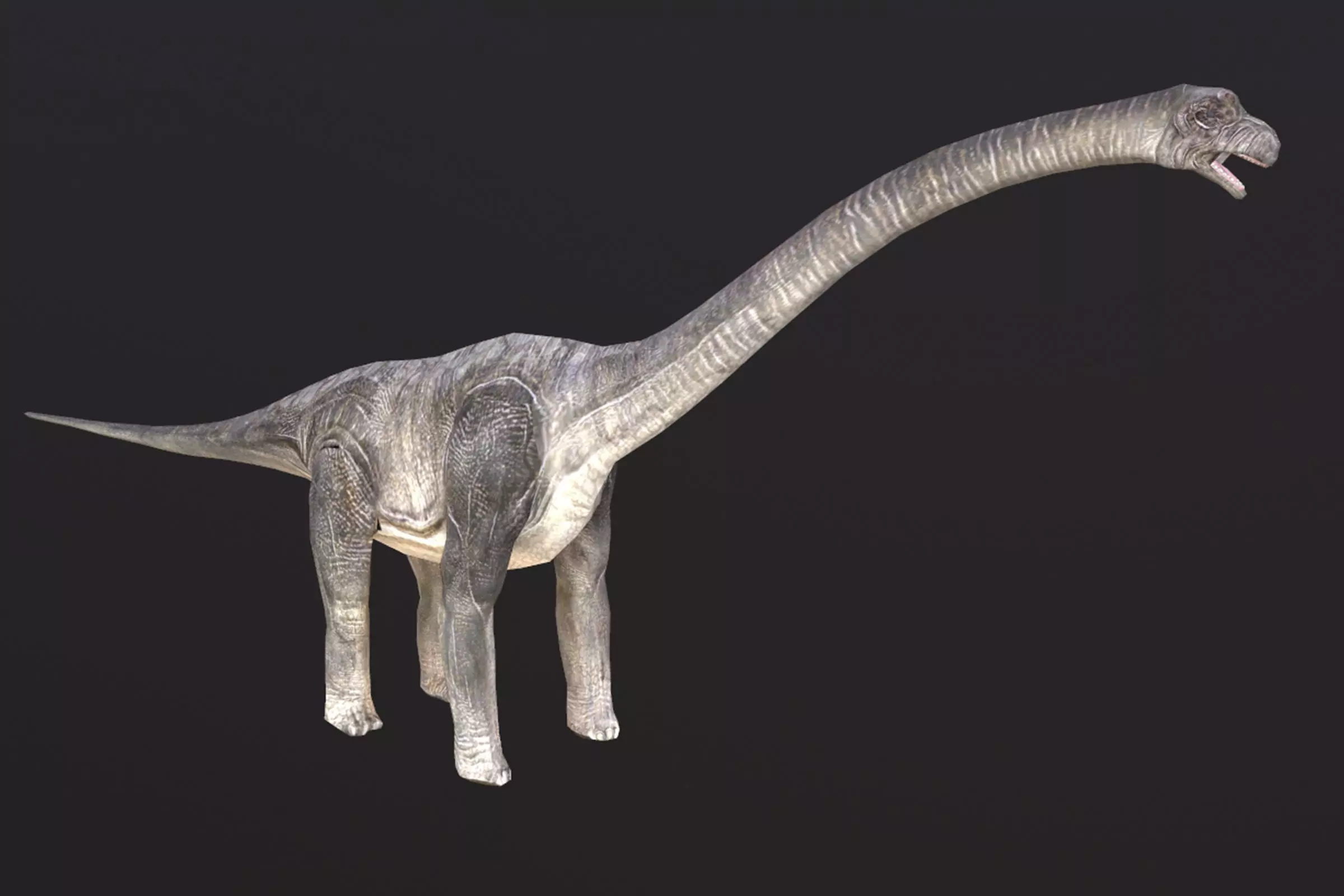 Brachiosaurus dinosaur Low-poly 3D model_0