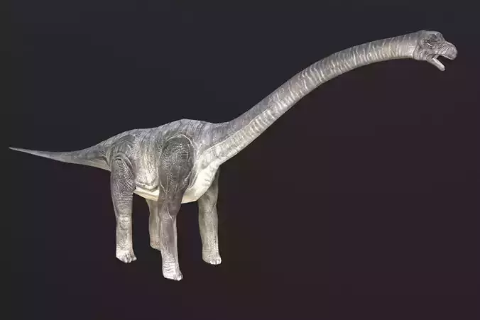 Brachiosaurus dinosaur