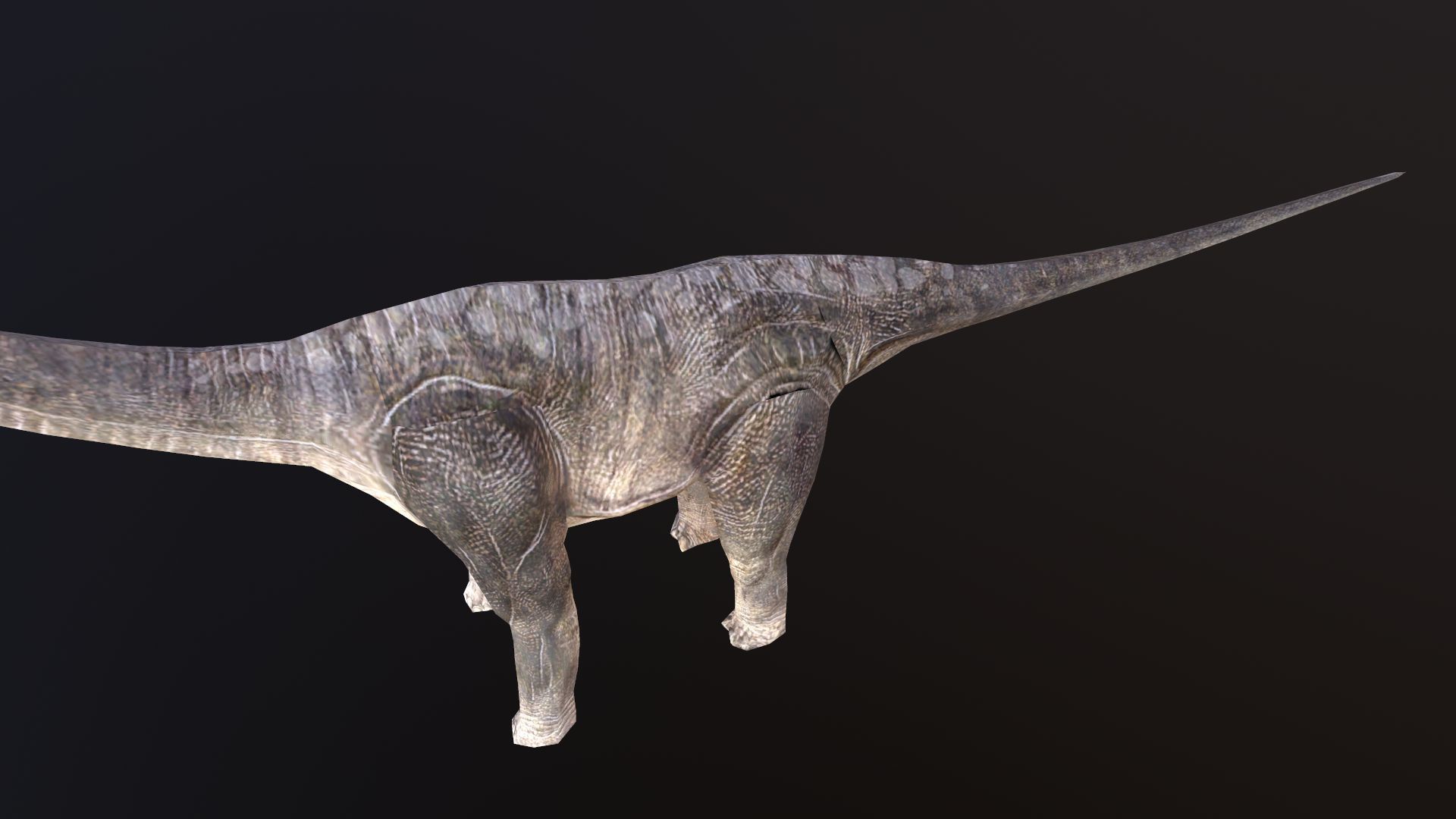 Brachiosaurus dinosaur Low-poly 3D model_3