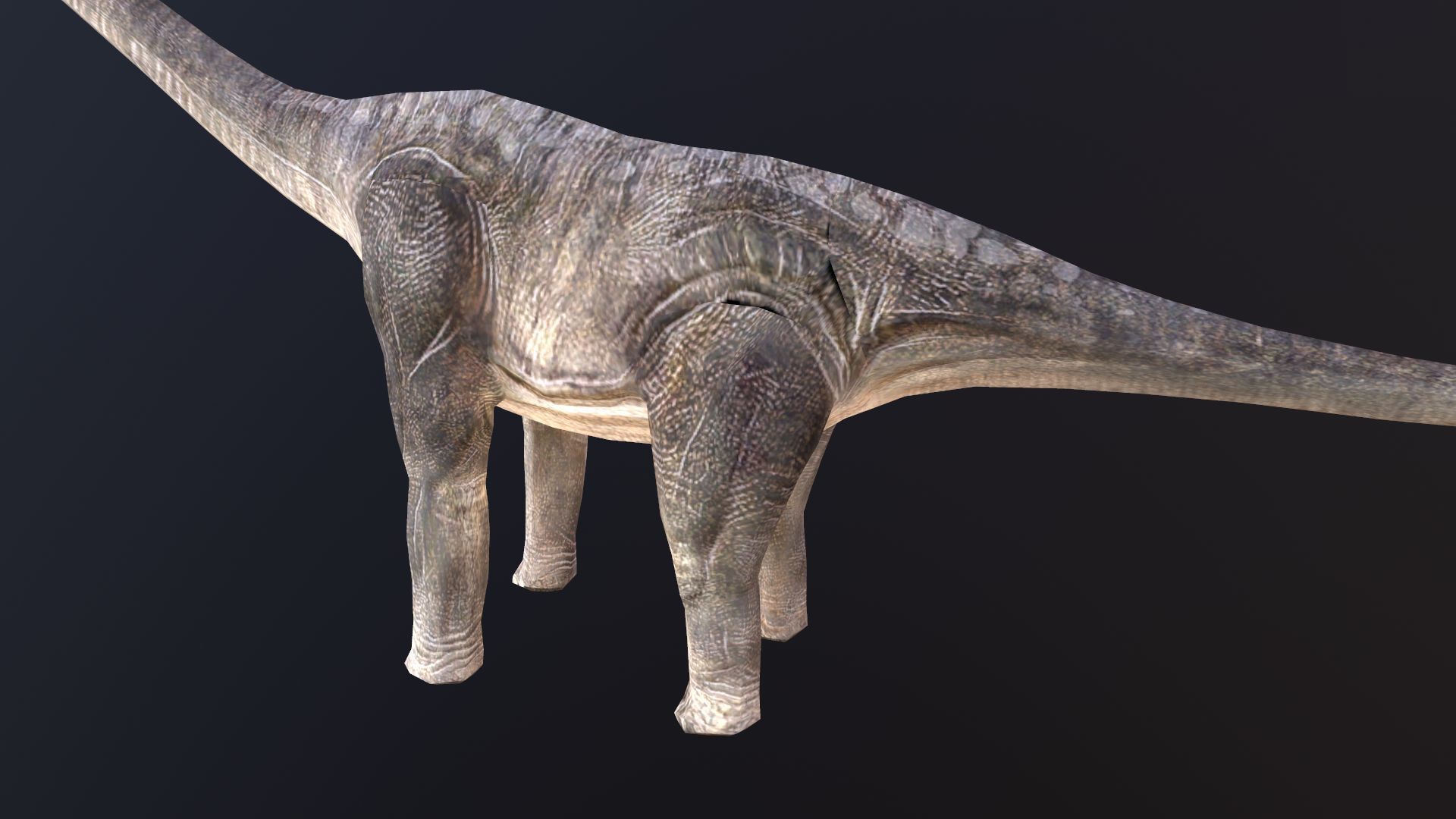 Brachiosaurus dinosaur Low-poly 3D model_4