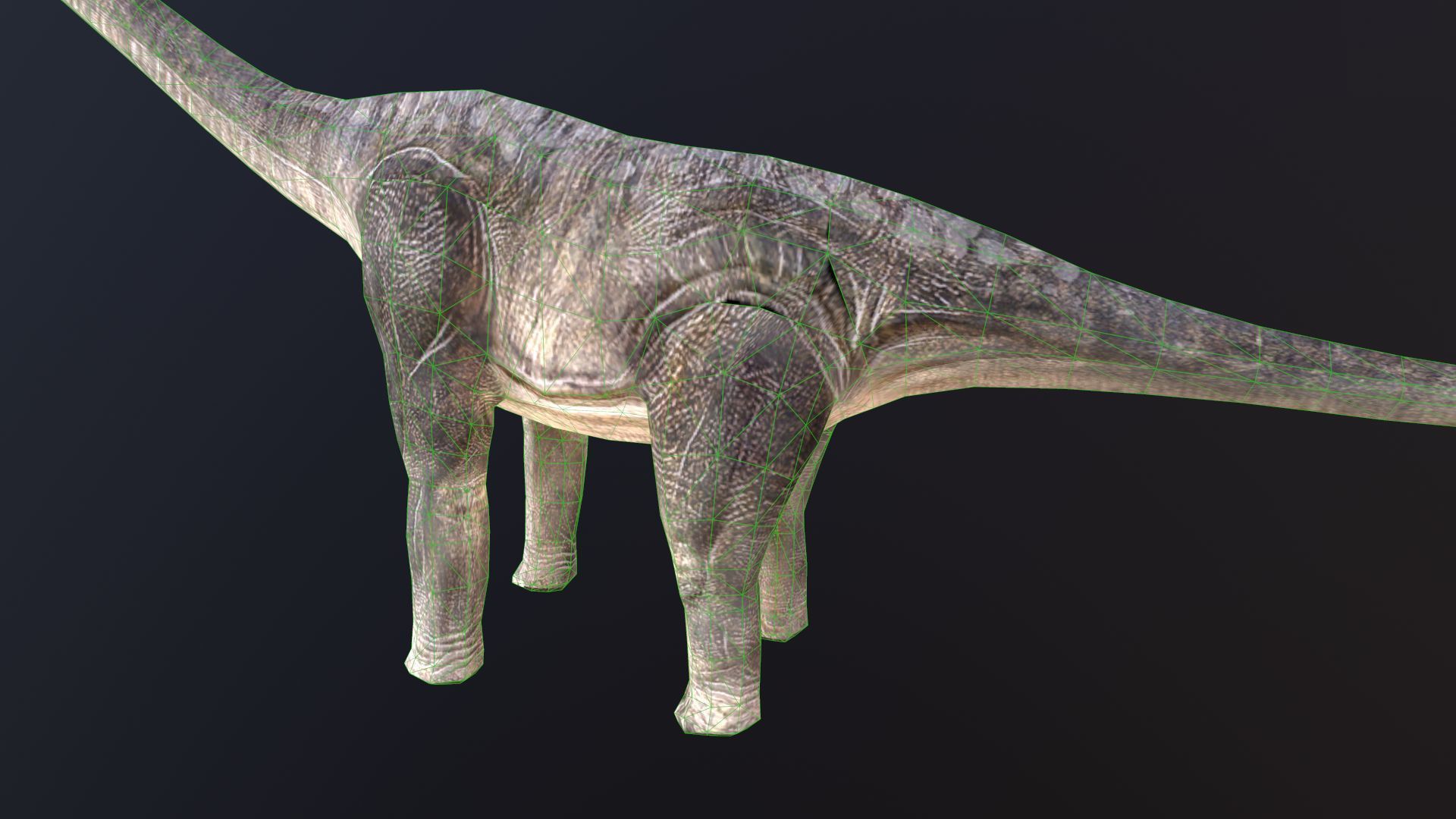 Brachiosaurus dinosaur Low-poly 3D model_8