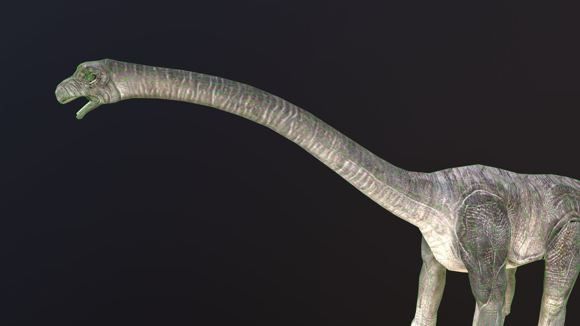 Brachiosaurus dinosaur Low-poly 3D model_6