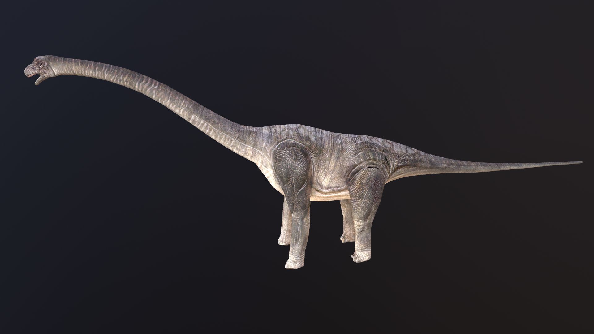 Brachiosaurus dinosaur Low-poly 3D model_1
