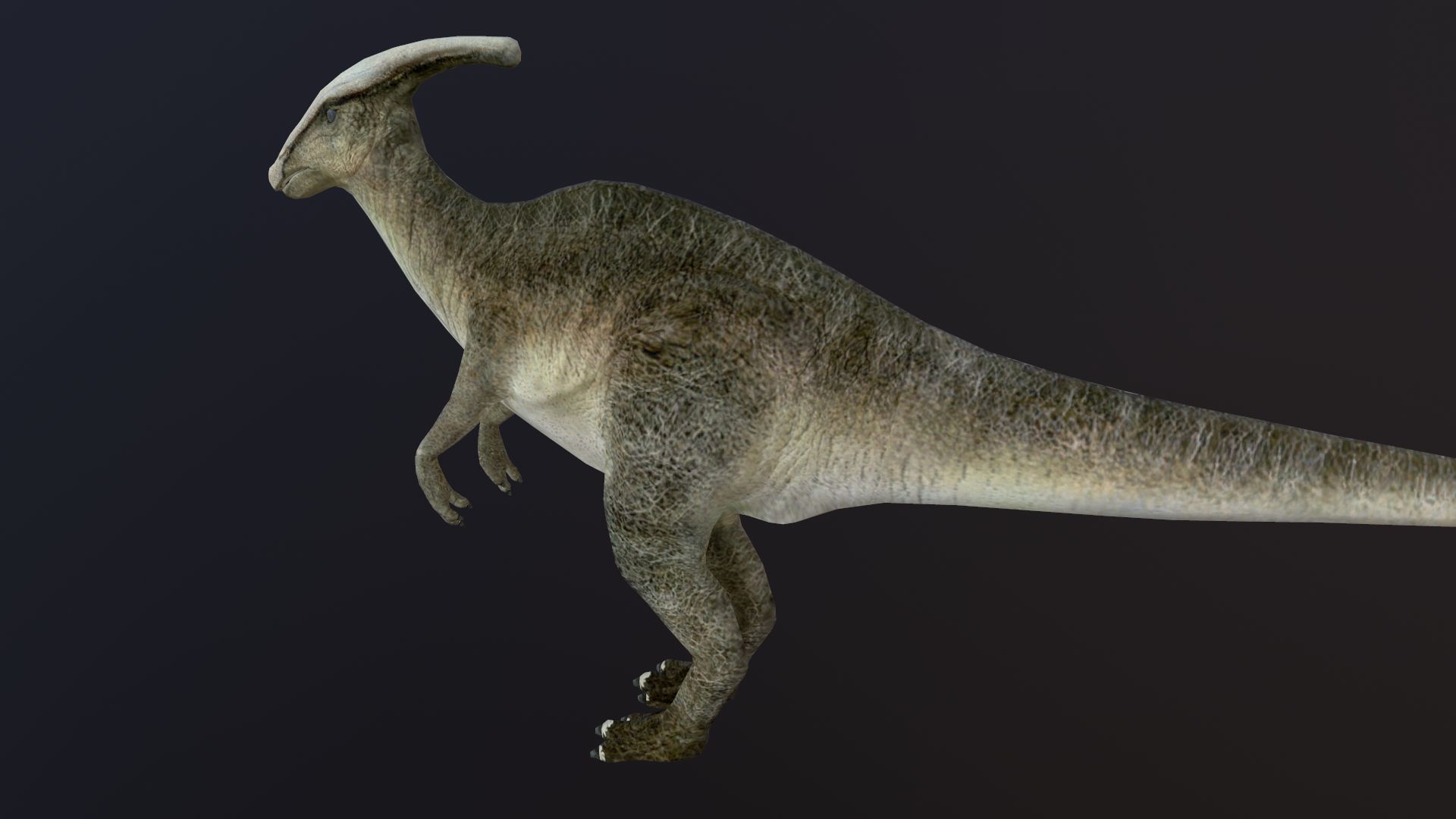 Hadrosaur dinosaur Low-poly 3D model_4
