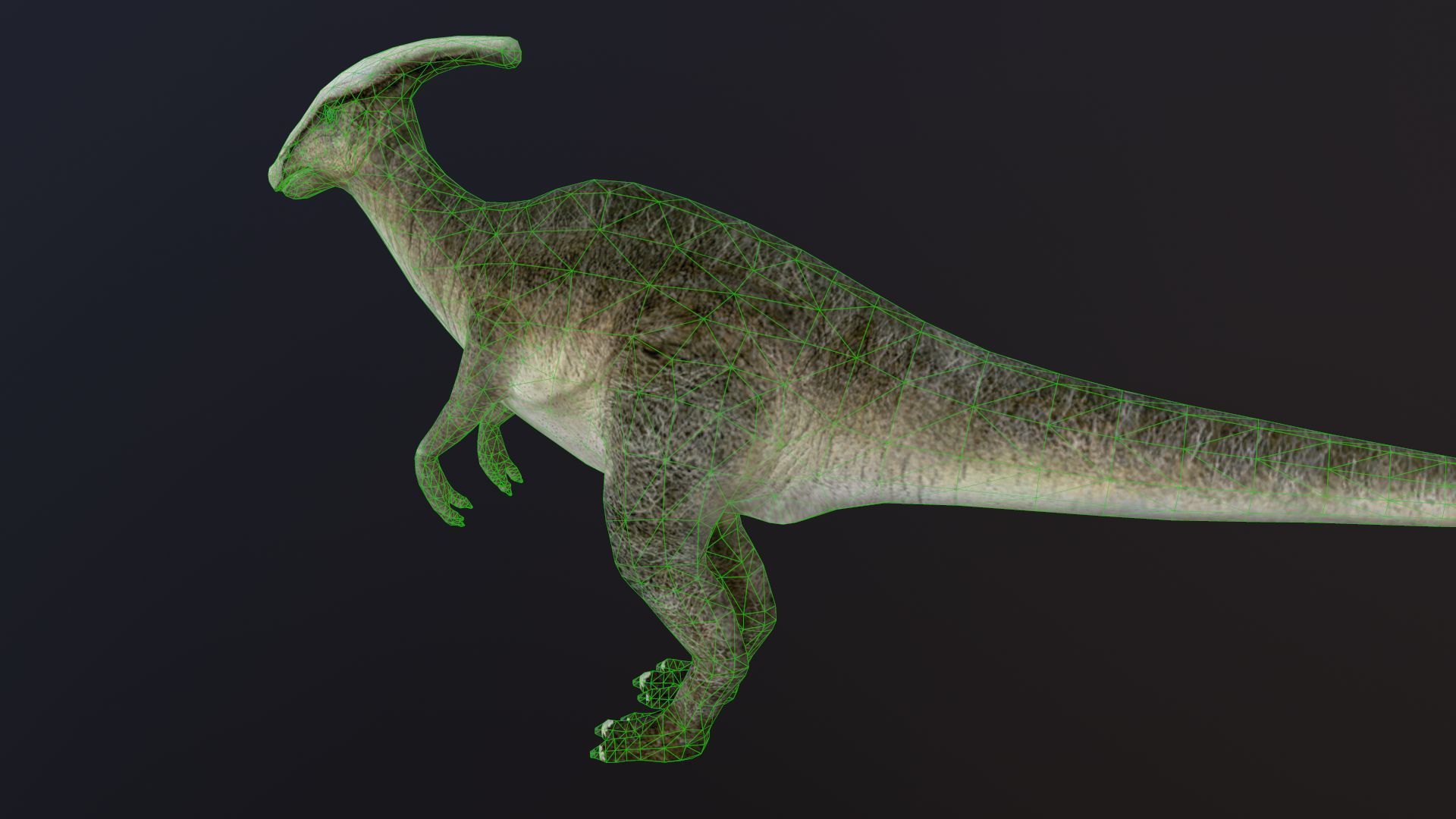 Hadrosaur dinosaur Low-poly 3D model_8