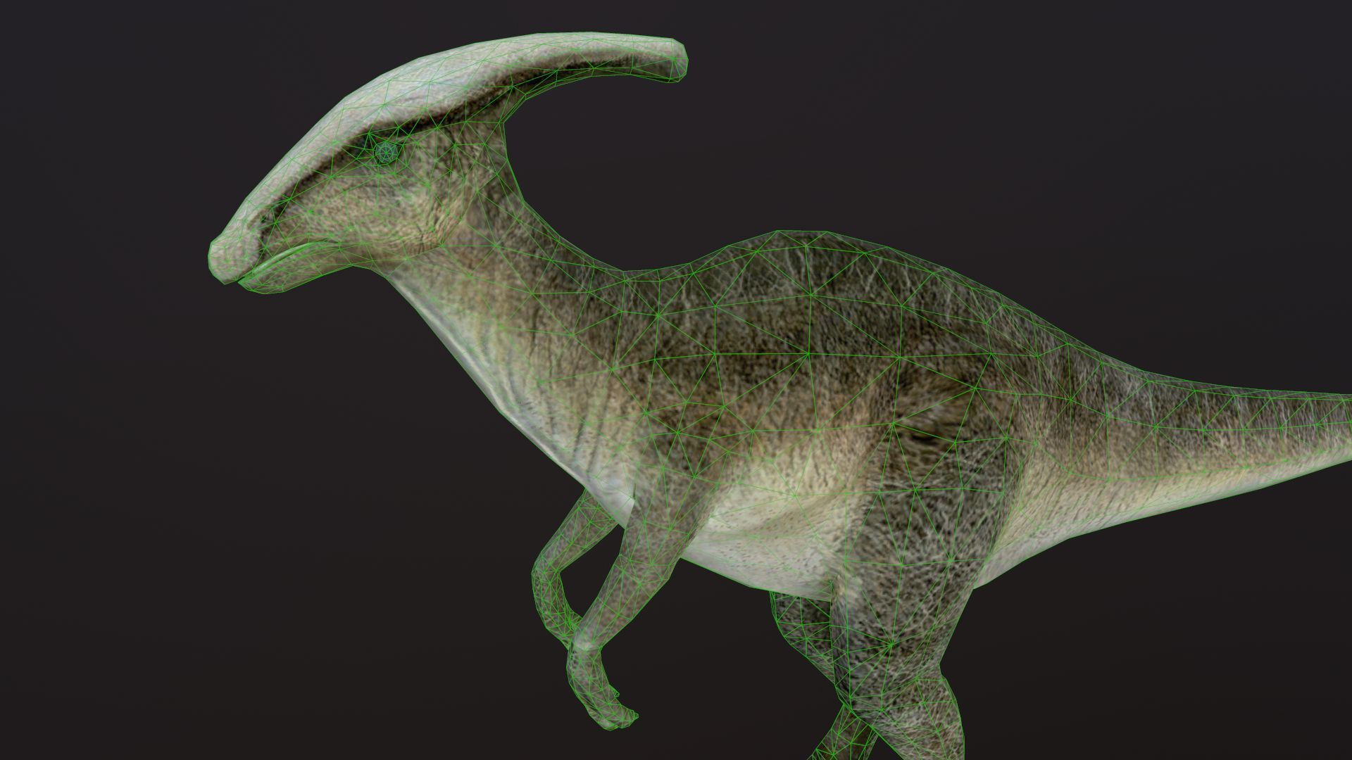 Hadrosaur dinosaur Low-poly 3D model_6