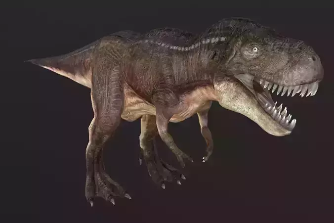 Tyrannosaurus t - rex