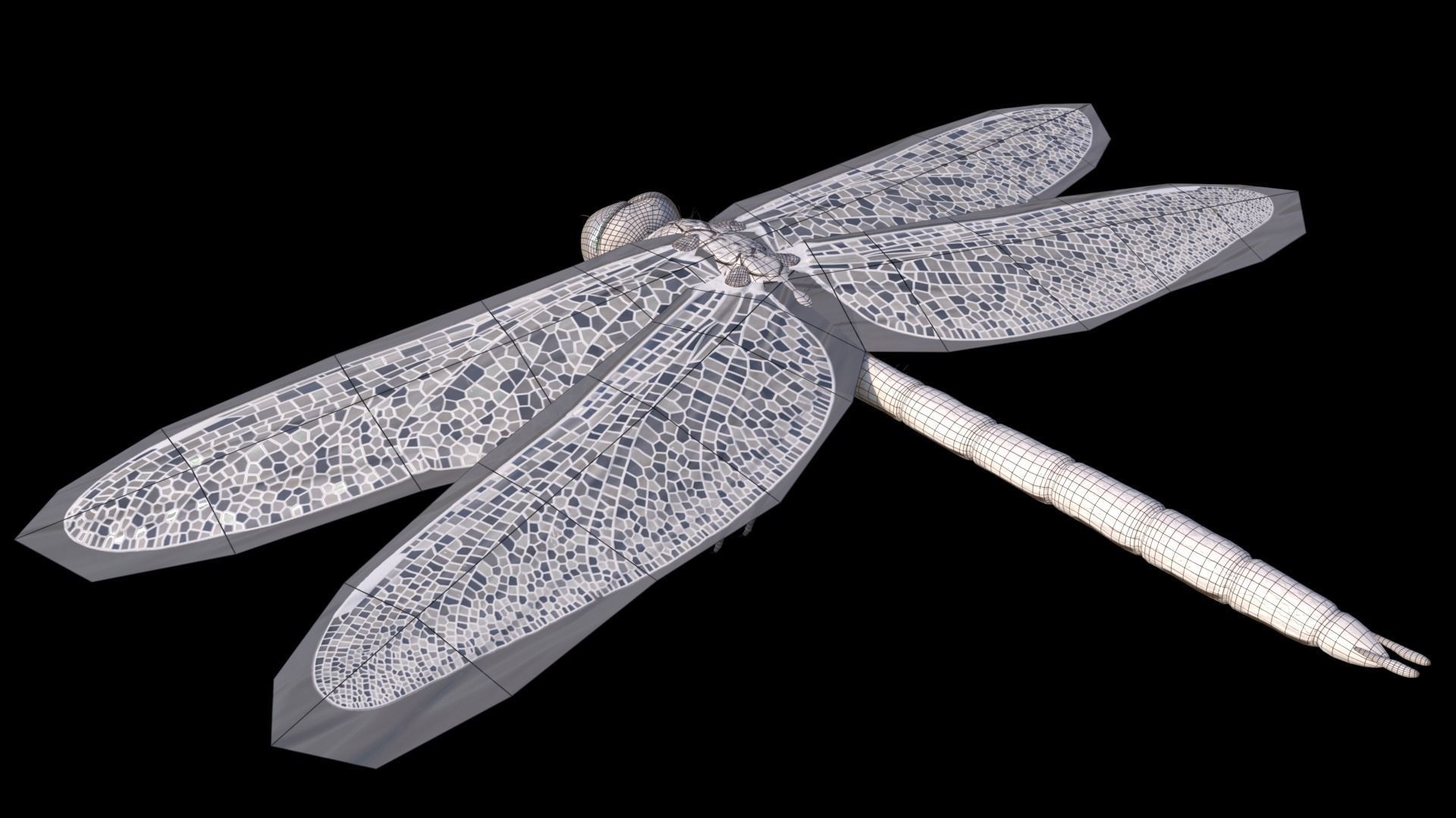 Anax imperator - Static 3D model_10