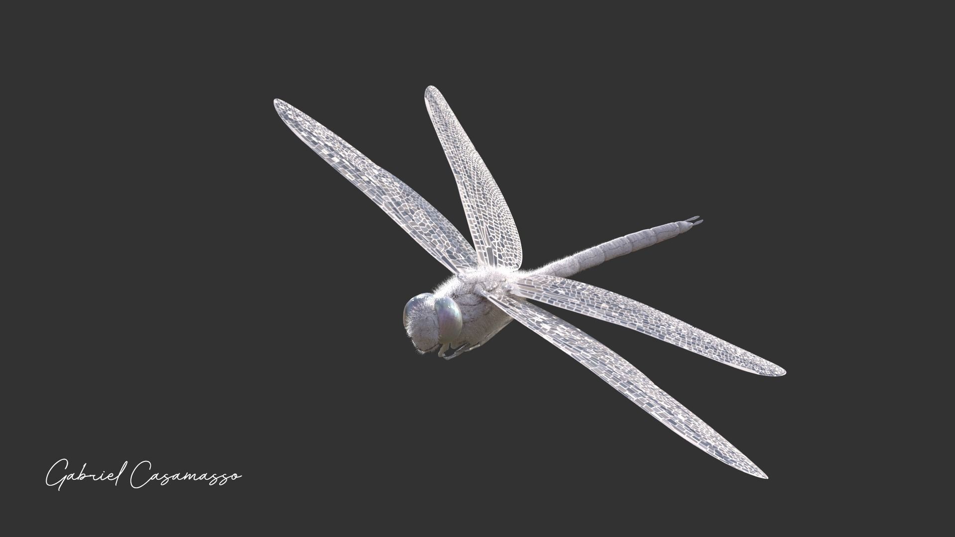 Anax imperator 3D model_6