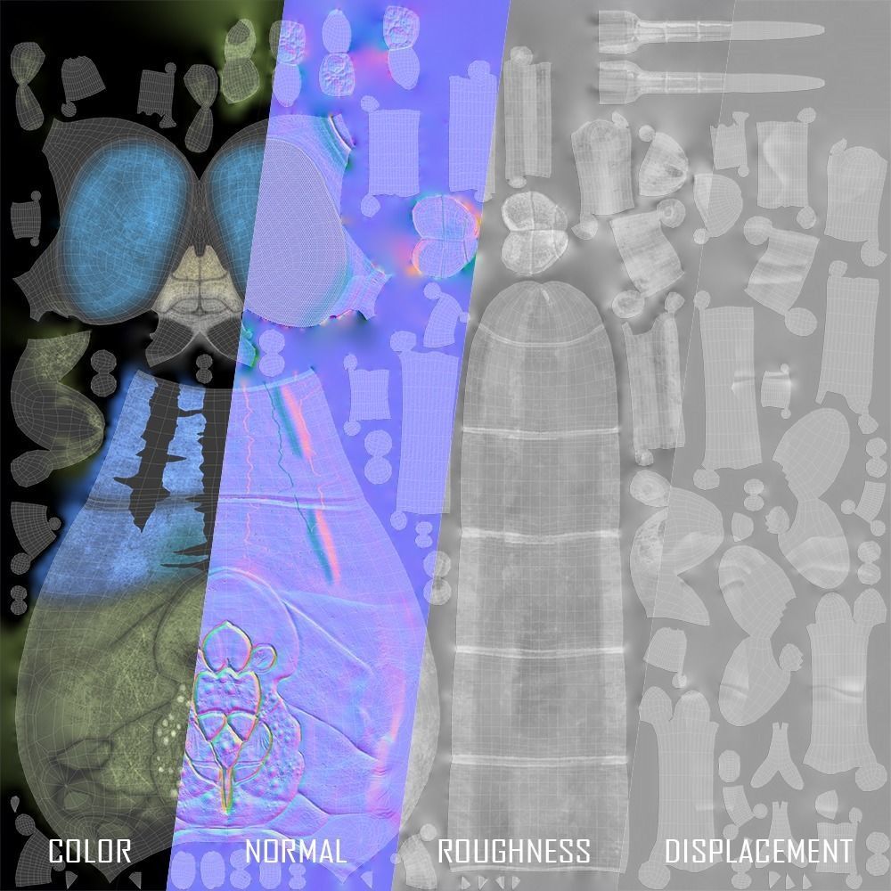 Anax imperator 3D model_7