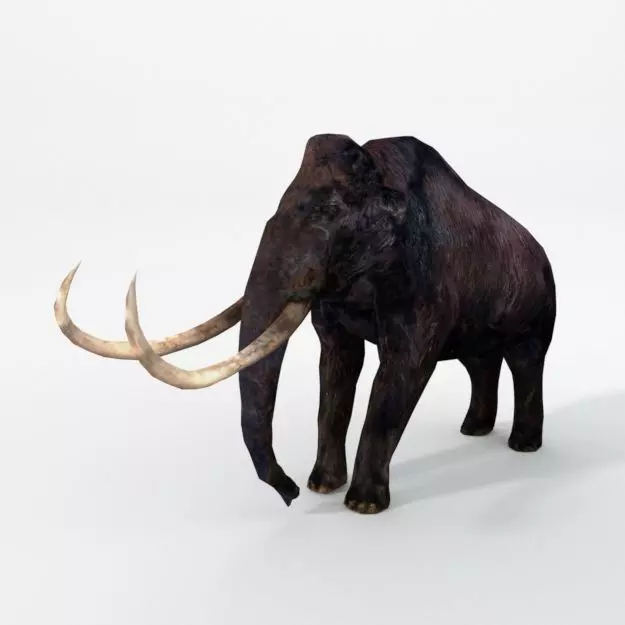 Mammoth woolly with tusks Low-poly 3D model_0