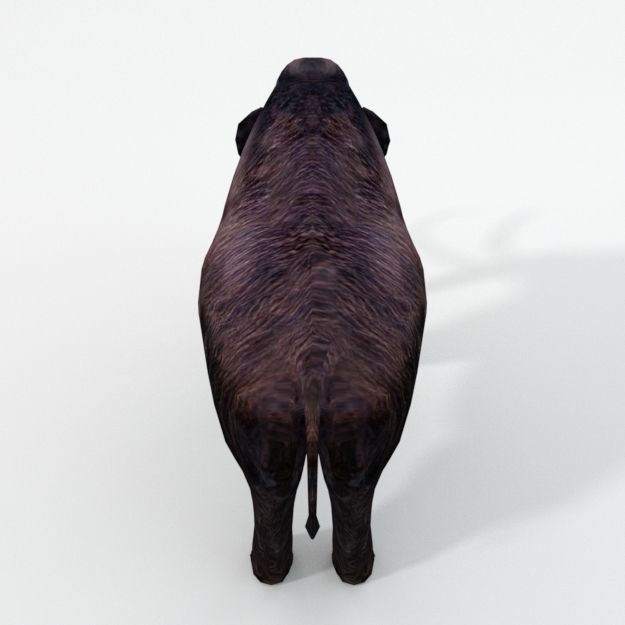 Mammoth woolly with tusks Low-poly 3D model_3