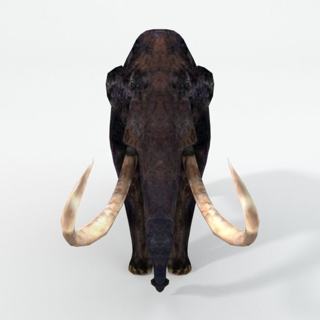 Mammoth woolly with tusks Low-poly 3D model_2