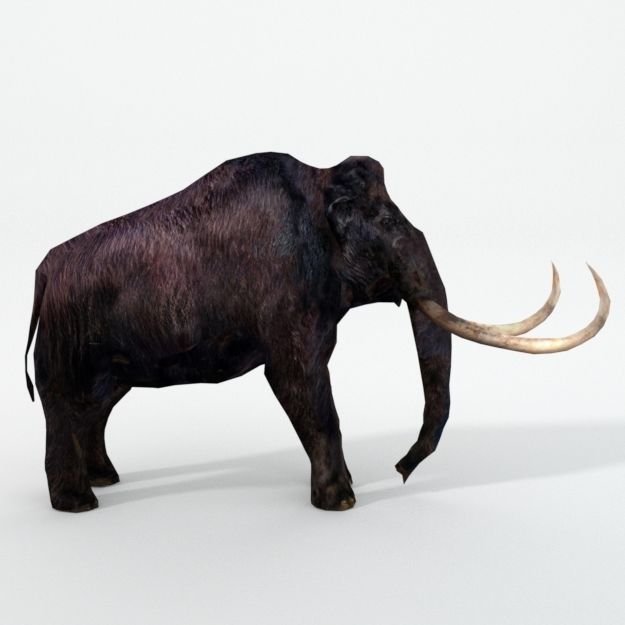 Mammoth woolly with tusks Low-poly 3D model_1