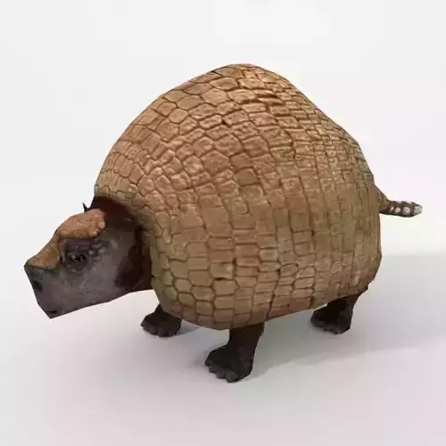 Gliptodonte armadillo