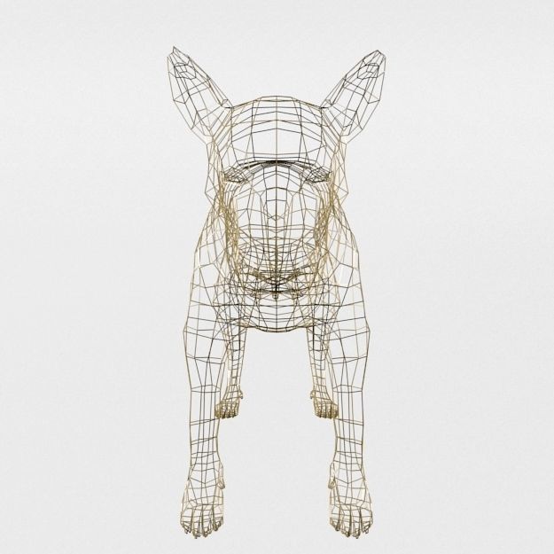 Tasmanian Tiger Low-poly 3D model_6