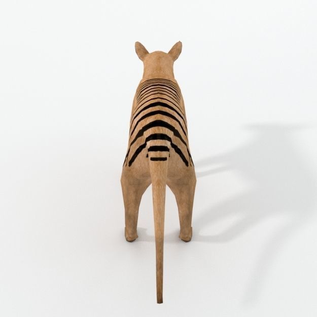 Tasmanian Tiger Low-poly 3D model_2