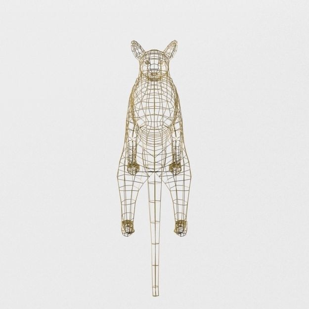 Tasmanian Tiger Low-poly 3D model_5