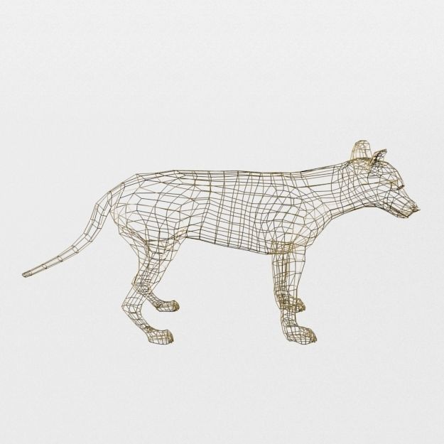 Tasmanian Tiger Low-poly 3D model_7