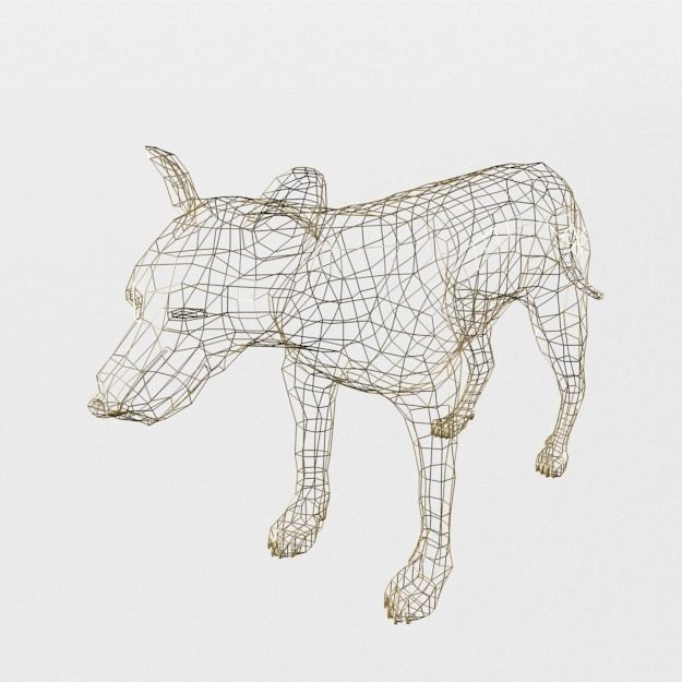 Tasmanian Tiger Low-poly 3D model_4