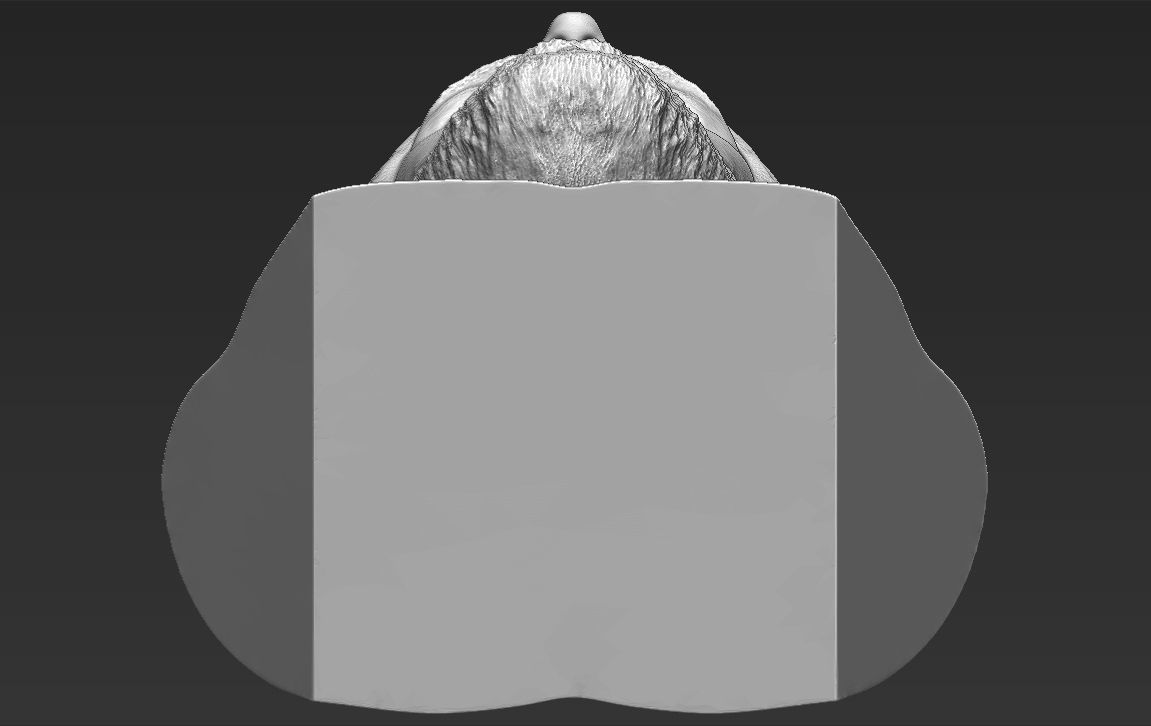 Jesus reconstruction based on Shroud of Turin 3D printing ready 3D print model_23