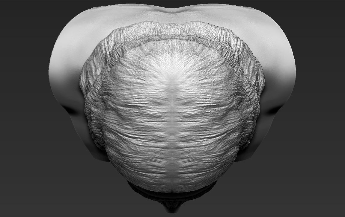 Jesus reconstruction based on Shroud of Turin 3D printing ready 3D print model_20