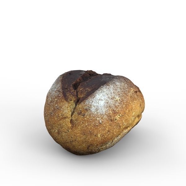 Gray Bun 3D model_11