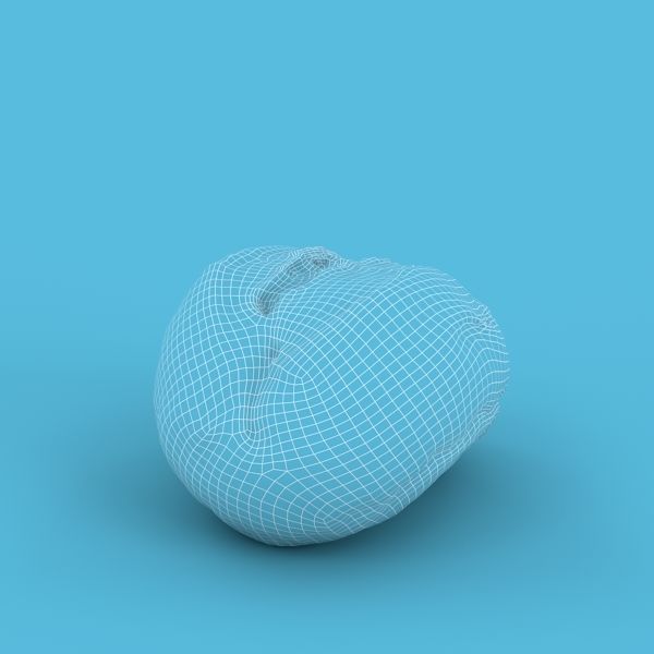 Gray Bun 3D model_12