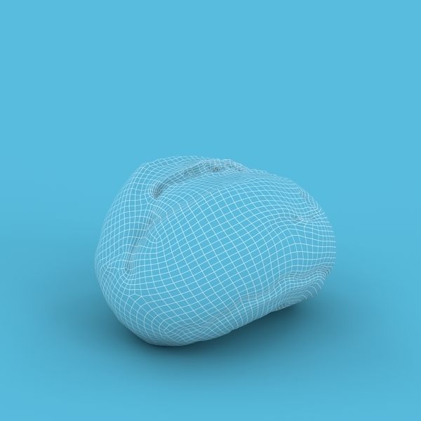 Gray Bun 3D model_14