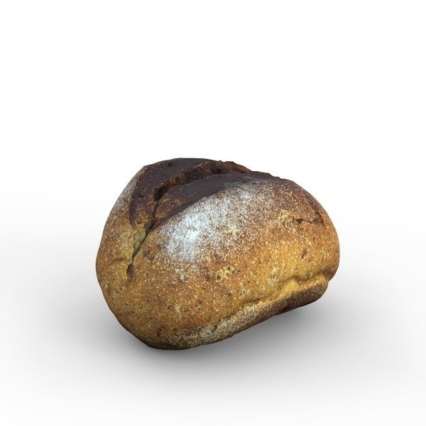 Gray Bun 3D model_13