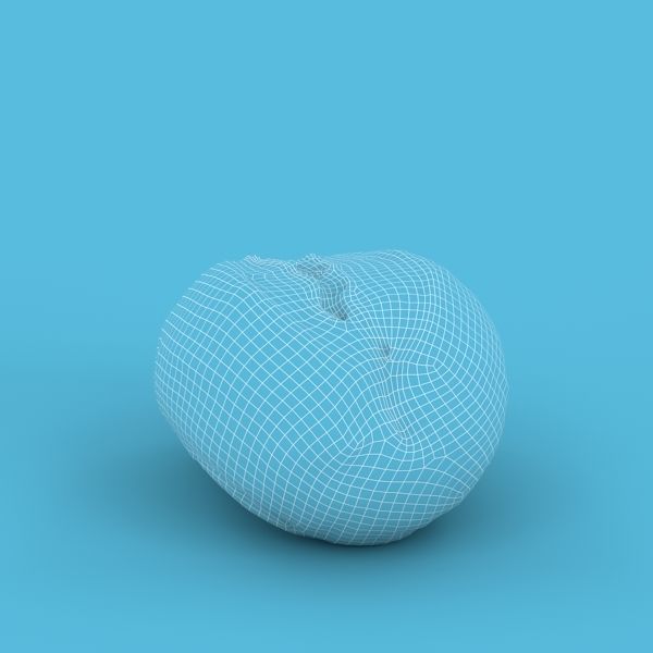 Gray Bun 3D model_10