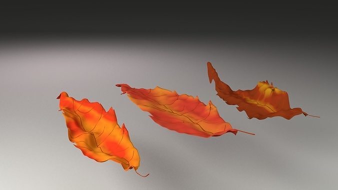 Simple Leaves 3D model