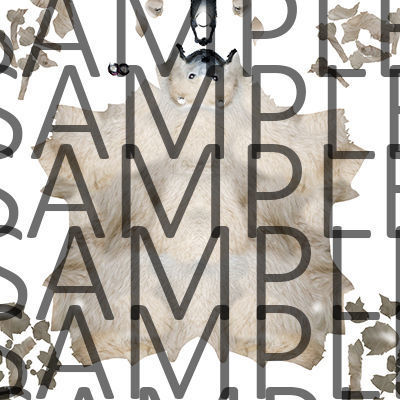 polar bear 3D model_27