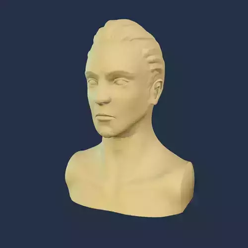 Head For 3D Print